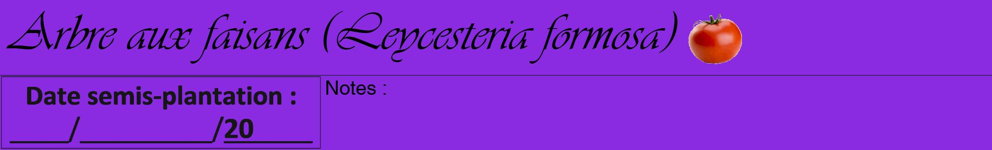 Étiquette de : Leycesteria formosa - format a - style noire49viv avec comestibilité simplifiée