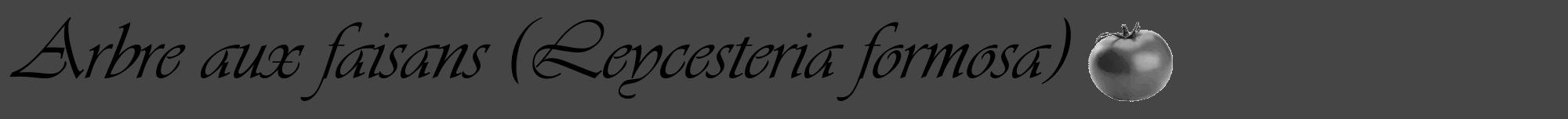 Étiquette de : Leycesteria formosa - format a - style noire58viv avec comestibilité simplifiée