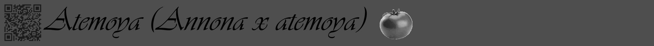 Étiquette de : Annona x atemoya - format a - style noire33simpleviv avec qrcode et comestibilité simplifiée