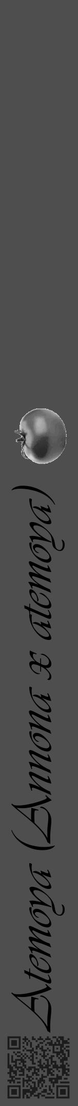 Étiquette de : Annona x atemoya - format a - style noire33simpleviv avec qrcode et comestibilité simplifiée - position verticale