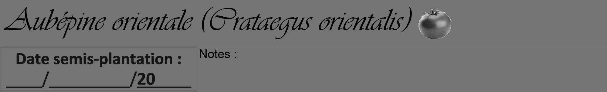 Étiquette de : Crataegus orientalis - format a - style noire26viv avec comestibilité simplifiée
