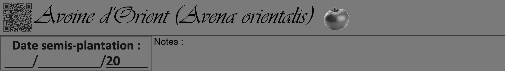 Étiquette de : Avena orientalis - format a - style noire3viv avec qrcode et comestibilité simplifiée