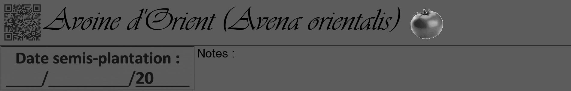 Étiquette de : Avena orientalis - format a - style noire49basiqueviv avec qrcode et comestibilité simplifiée