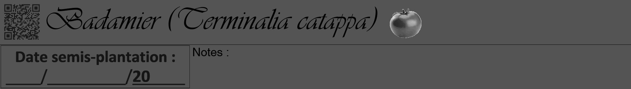 Étiquette de : Terminalia catappa - format a - style noire30viv avec qrcode et comestibilité simplifiée