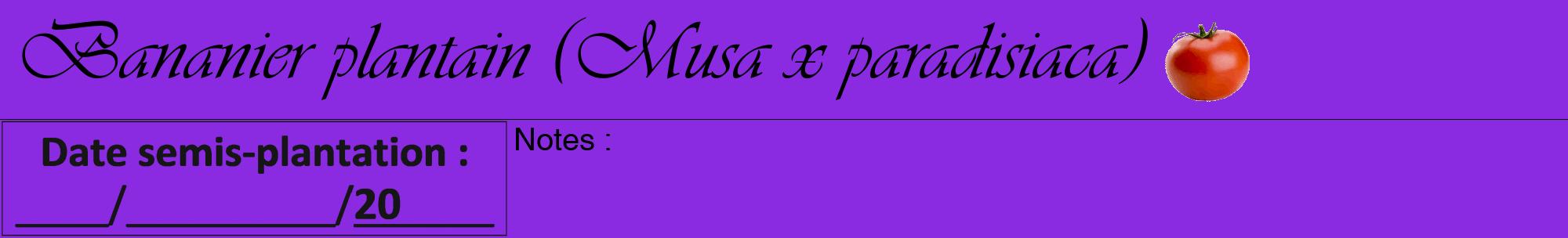 Étiquette de : Musa x paradisiaca - format a - style noire49viv avec comestibilité simplifiée