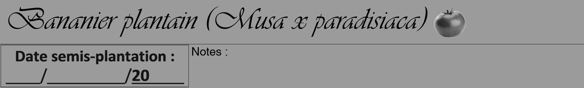 Étiquette de : Musa x paradisiaca - format a - style noire52viv avec comestibilité simplifiée