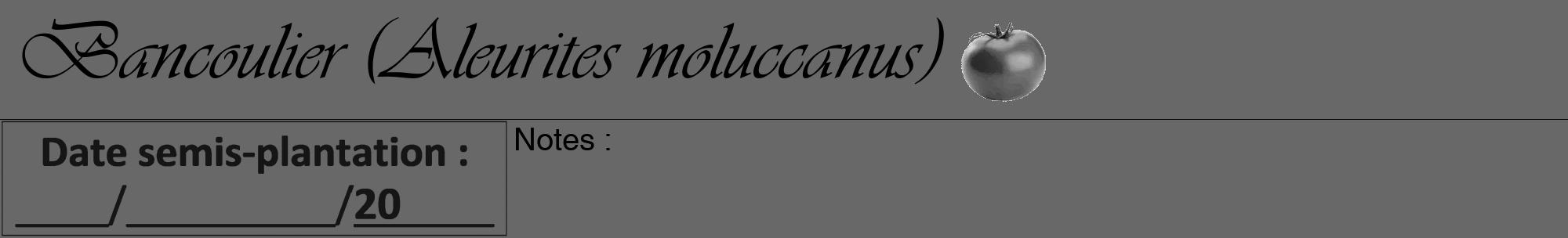 Étiquette de : Aleurites moluccanus - format a - style noire43viv avec comestibilité simplifiée