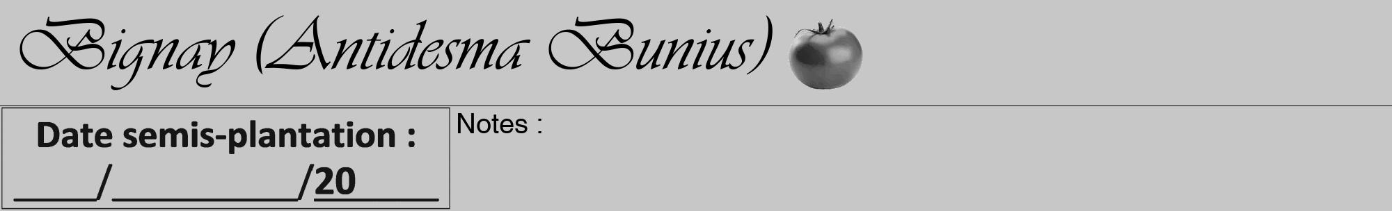 Étiquette de : Antidesma Bunius - format a - style noire15viv avec comestibilité simplifiée