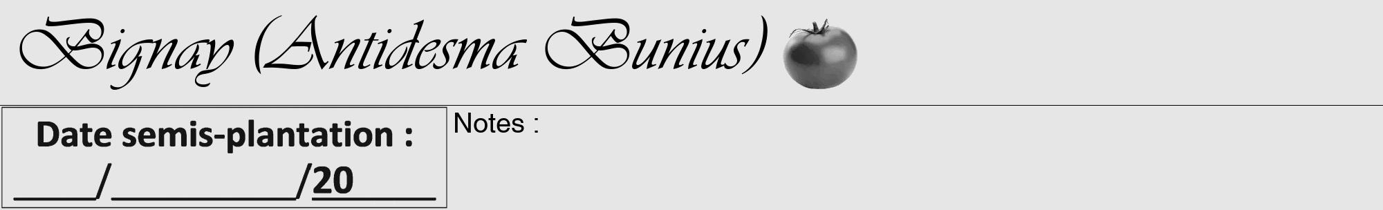 Étiquette de : Antidesma Bunius - format a - style noire18viv avec comestibilité simplifiée