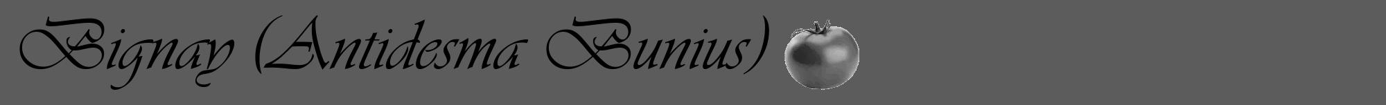 Étiquette de : Antidesma Bunius - format a - style noire49viv avec comestibilité simplifiée