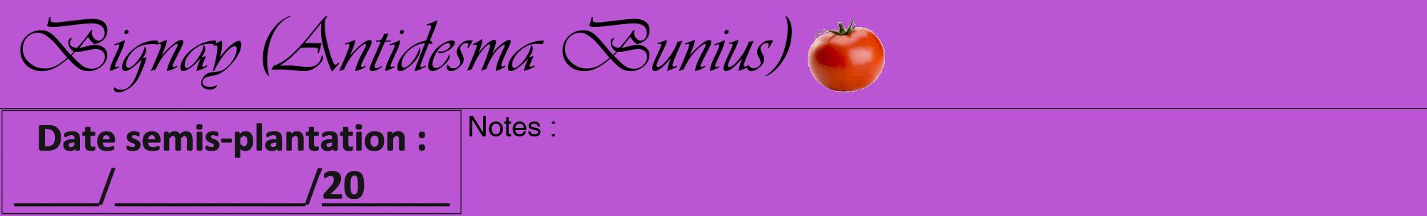 Étiquette de : Antidesma Bunius - format a - style noire50viv avec comestibilité simplifiée