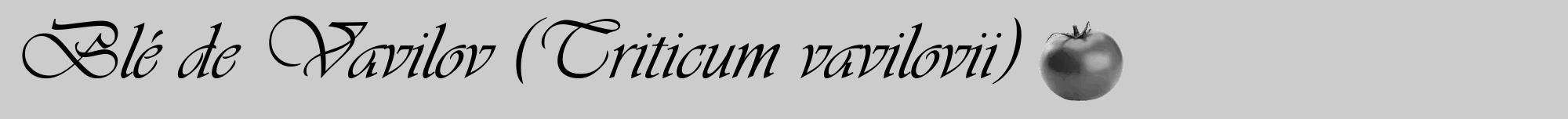 Étiquette de : Triticum vavilovii - format a - style noire0viv avec comestibilité simplifiée