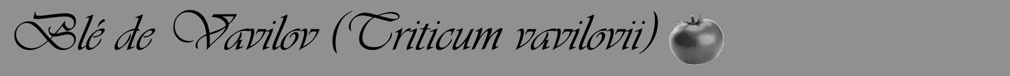 Étiquette de : Triticum vavilovii - format a - style noire4viv avec comestibilité simplifiée