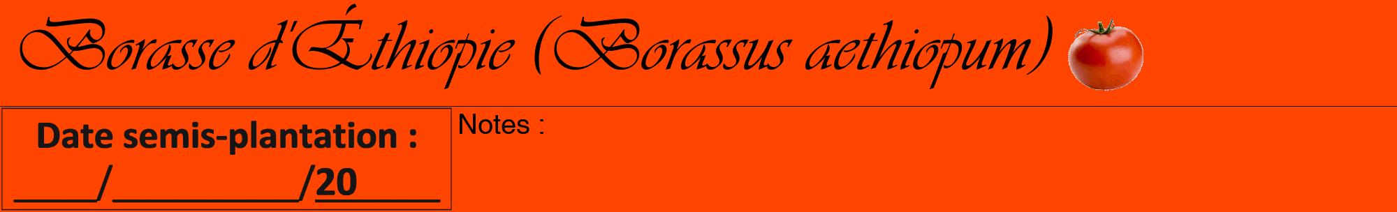 Étiquette de : Borassus aethiopum - format a - style noire26viv avec comestibilité simplifiée