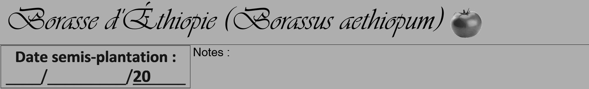 Étiquette de : Borassus aethiopum - format a - style noire53viv avec comestibilité simplifiée