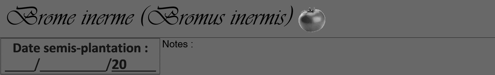 Étiquette de : Bromus inermis - format a - style noire43basiqueviv avec comestibilité simplifiée