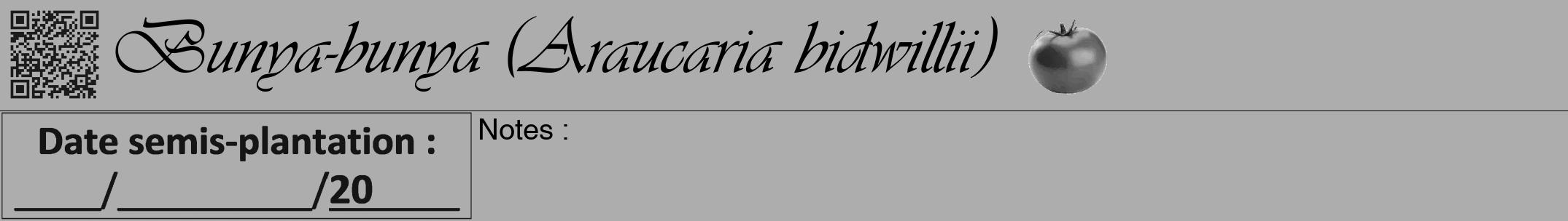 Étiquette de : Araucaria bidwillii - format a - style noire22viv avec qrcode et comestibilité simplifiée