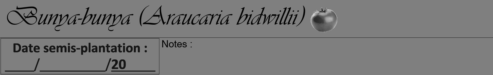 Étiquette de : Araucaria bidwillii - format a - style noire31viv avec comestibilité simplifiée