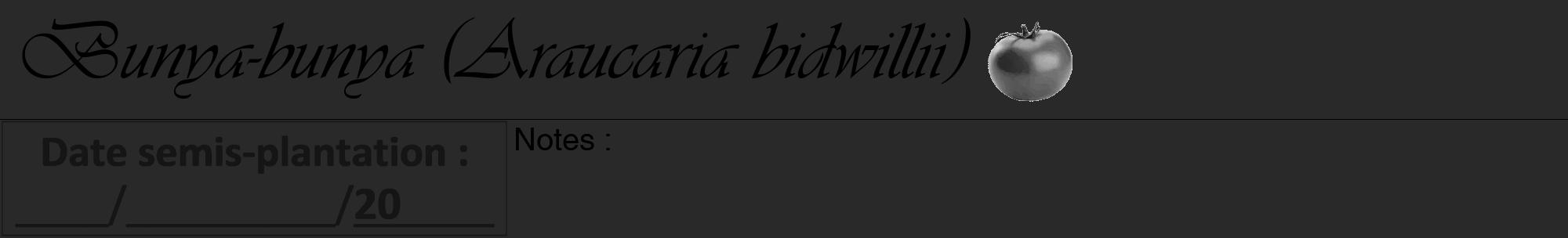 Étiquette de : Araucaria bidwillii - format a - style noire34viv avec comestibilité simplifiée
