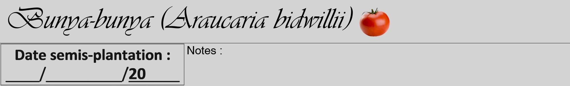 Étiquette de : Araucaria bidwillii - format a - style noire56viv avec comestibilité simplifiée
