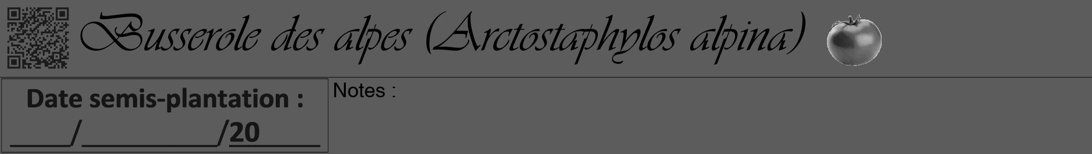 Étiquette de : Arctostaphylos alpina - format a - style noire49viv avec qrcode et comestibilité simplifiée