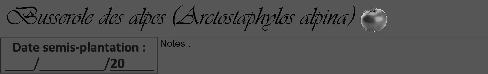 Étiquette de : Arctostaphylos alpina - format a - style noire45viv avec comestibilité simplifiée