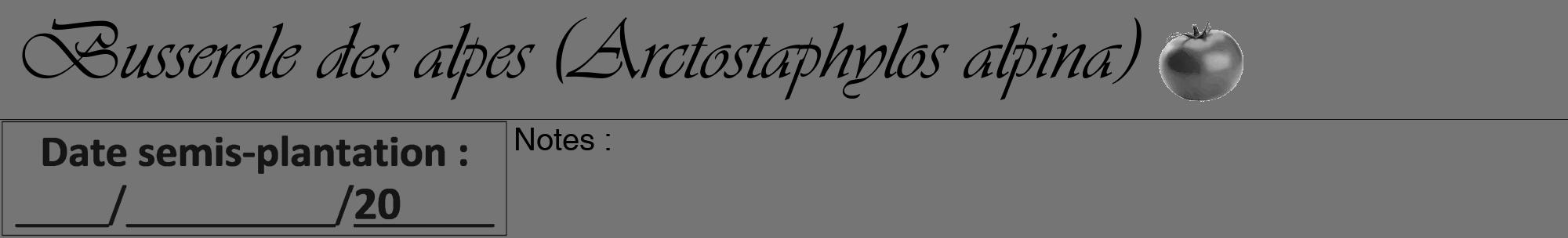 Étiquette de : Arctostaphylos alpina - format a - style noire5viv avec comestibilité simplifiée
