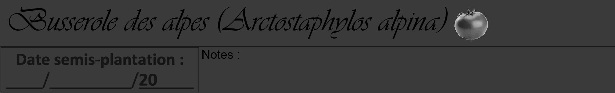 Étiquette de : Arctostaphylos alpina - format a - style noire8viv avec comestibilité simplifiée