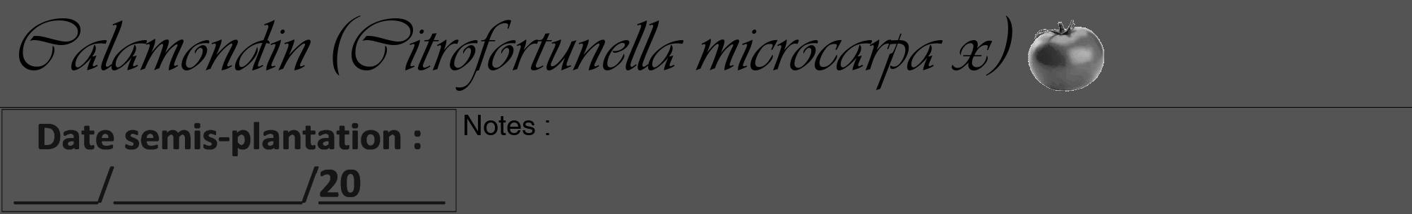 Étiquette de : Citrofortunella microcarpa x - format a - style noire36viv avec comestibilité simplifiée