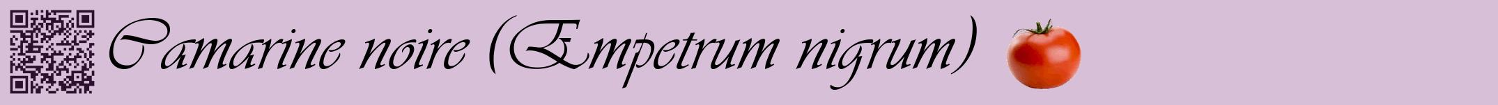 Étiquette de : Empetrum nigrum - format a - style noire54simpleviv avec qrcode et comestibilité simplifiée