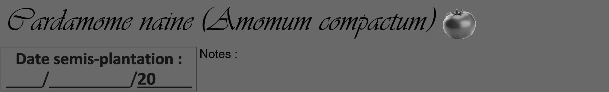 Étiquette de : Amomum compactum - format a - style noire11viv avec comestibilité simplifiée