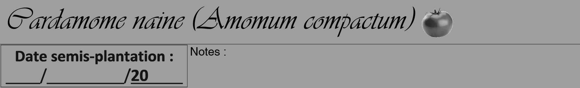 Étiquette de : Amomum compactum - format a - style noire23viv avec comestibilité simplifiée