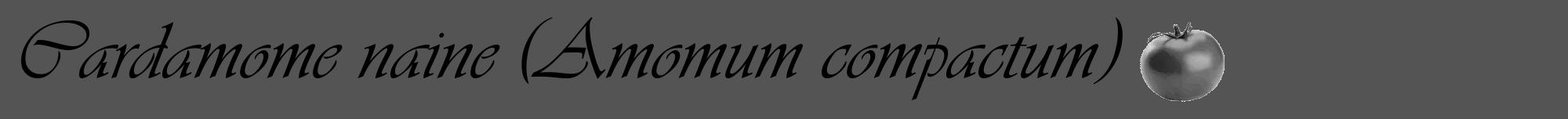 Étiquette de : Amomum compactum - format a - style noire30viv avec comestibilité simplifiée