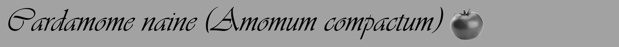Étiquette de : Amomum compactum - format a - style noire38viv avec comestibilité simplifiée
