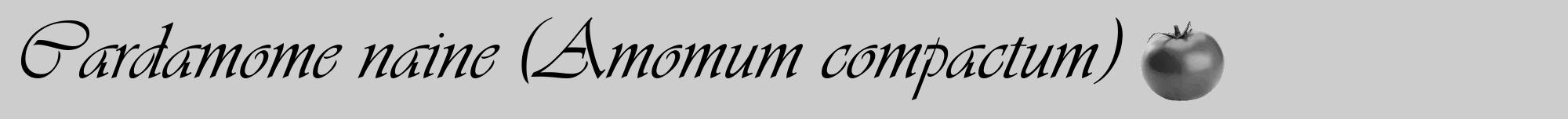 Étiquette de : Amomum compactum - format a - style noire41viv avec comestibilité simplifiée
