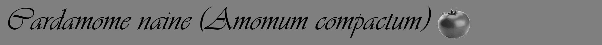 Étiquette de : Amomum compactum - format a - style noire57viv avec comestibilité simplifiée