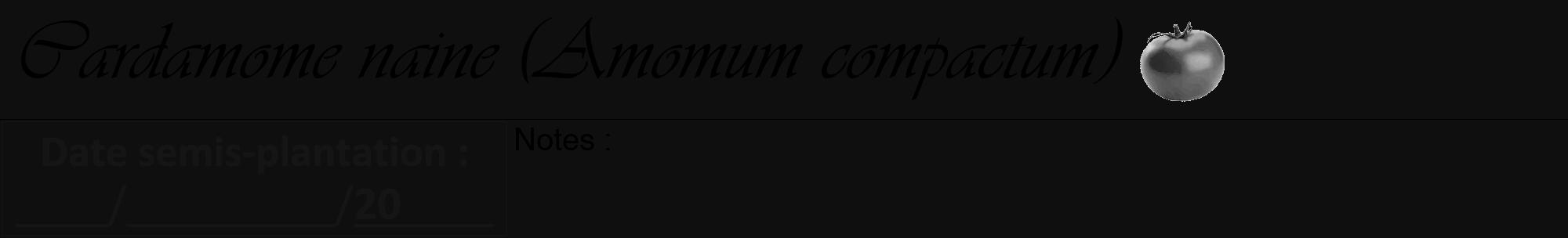 Étiquette de : Amomum compactum - format a - style noire7viv avec comestibilité simplifiée