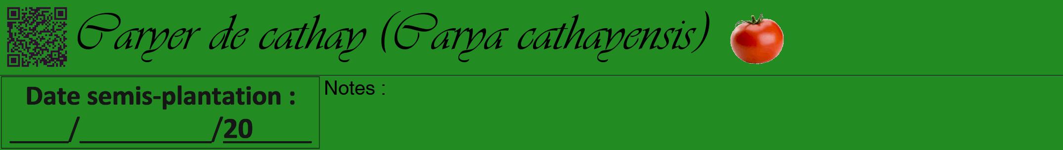 Étiquette de : Carya cathayensis - format a - style noire10viv avec qrcode et comestibilité simplifiée
