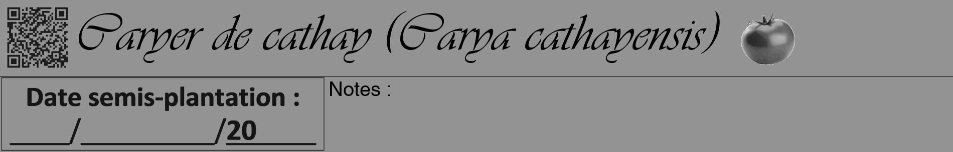 Étiquette de : Carya cathayensis - format a - style noire44basiqueviv avec qrcode et comestibilité simplifiée