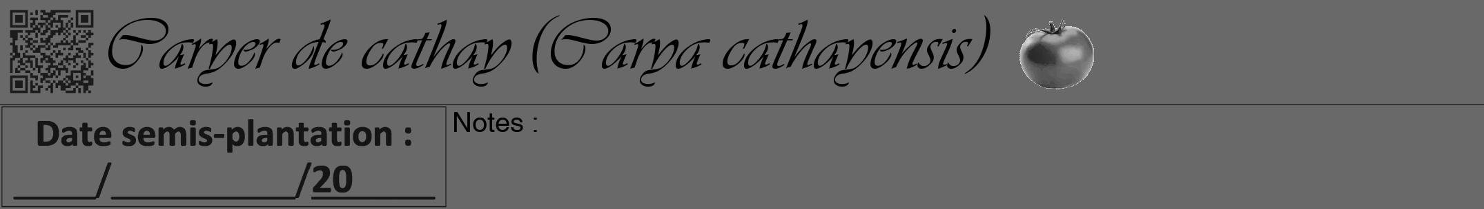 Étiquette de : Carya cathayensis - format a - style noire51viv avec qrcode et comestibilité simplifiée