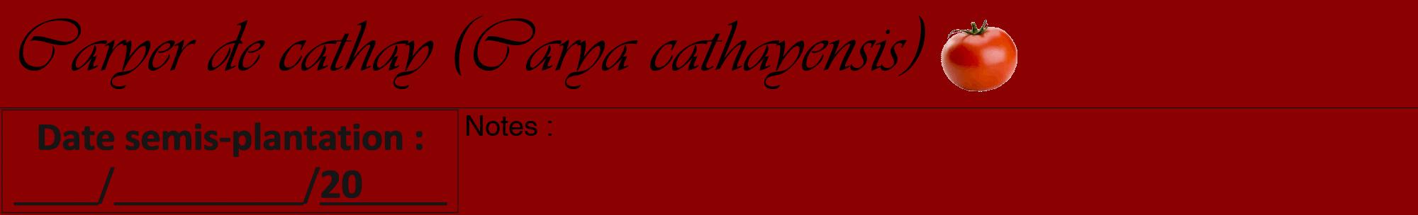 Étiquette de : Carya cathayensis - format a - style noire34viv avec comestibilité simplifiée