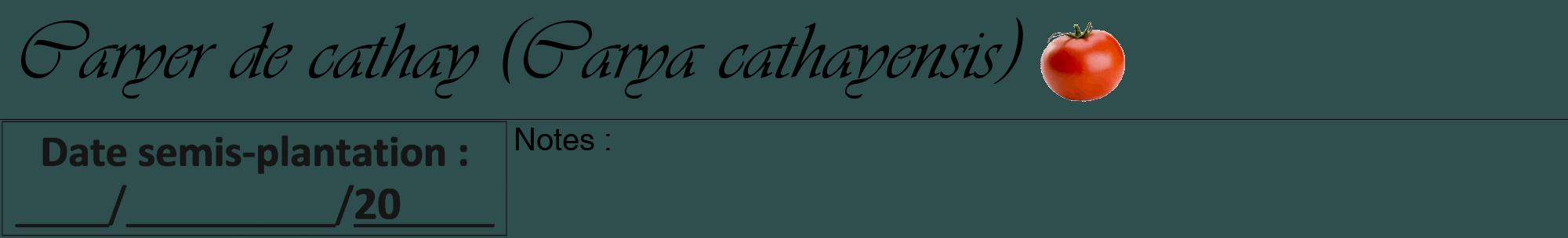 Étiquette de : Carya cathayensis - format a - style noire58viv avec comestibilité simplifiée