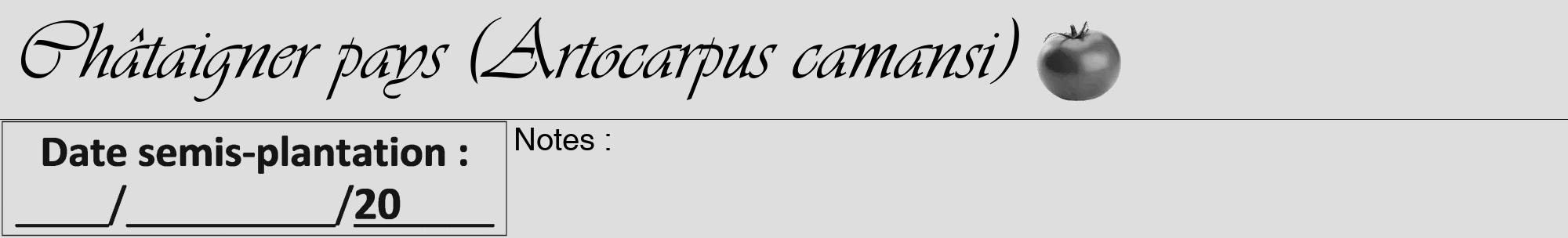 Étiquette de : Artocarpus camansi - format a - style noire20viv avec comestibilité simplifiée