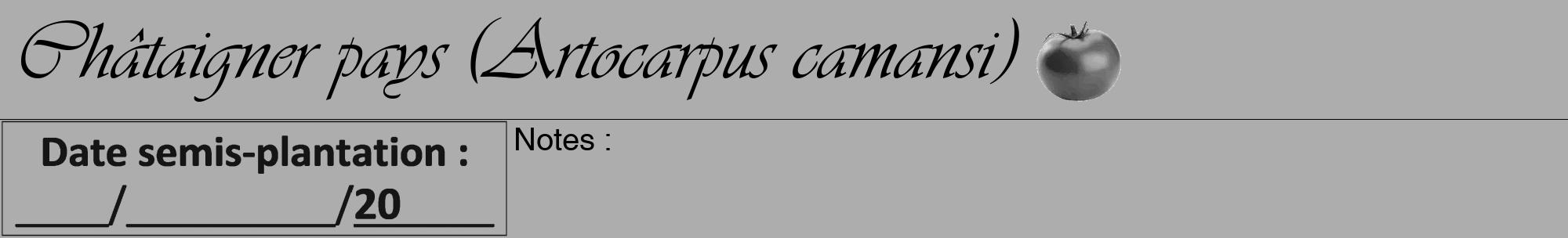 Étiquette de : Artocarpus camansi - format a - style noire22viv avec comestibilité simplifiée