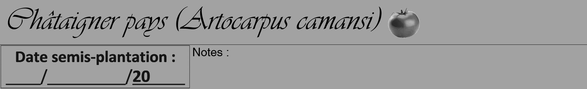 Étiquette de : Artocarpus camansi - format a - style noire38viv avec comestibilité simplifiée