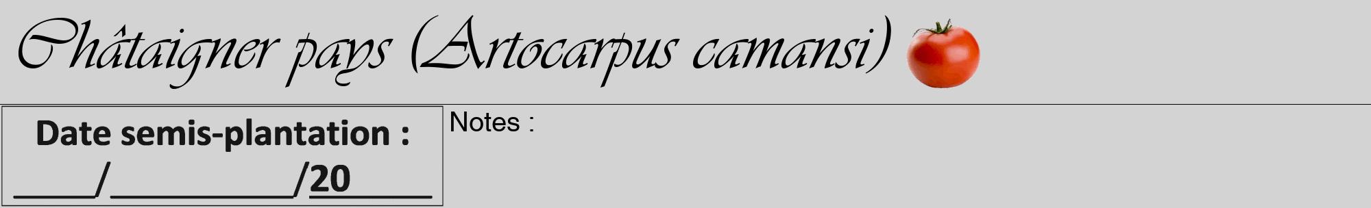 Étiquette de : Artocarpus camansi - format a - style noire56viv avec comestibilité simplifiée