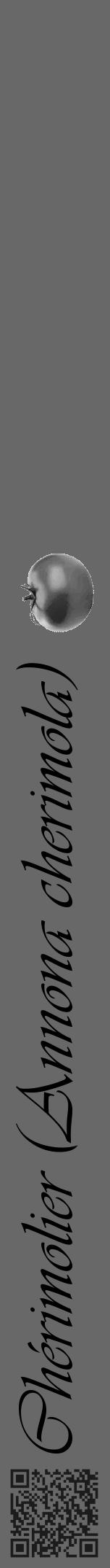 Étiquette de : Annona cherimola - format a - style noire43viv avec qrcode et comestibilité simplifiée - position verticale