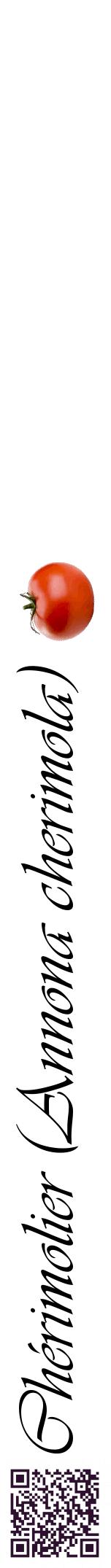 Étiquette de : Annona cherimola - format a - style noire60viv avec qrcode et comestibilité simplifiée