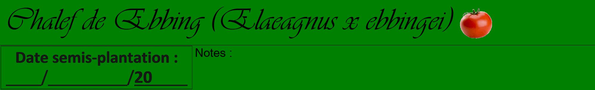 Étiquette de : Elaeagnus x ebbingei - format a - style noire9viv avec comestibilité simplifiée