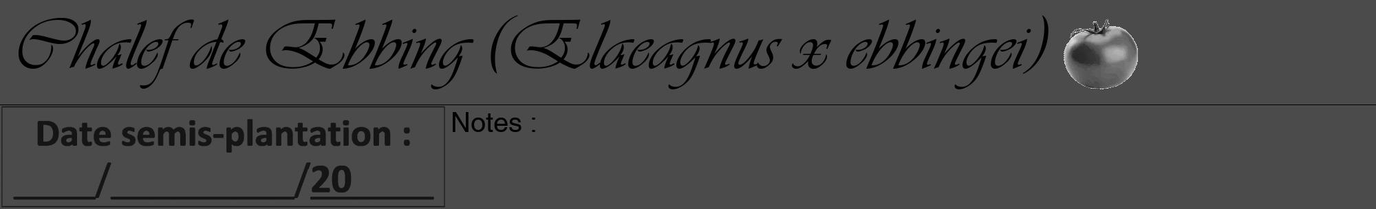 Étiquette de : Elaeagnus x ebbingei - format a - style noire9viv avec comestibilité simplifiée
